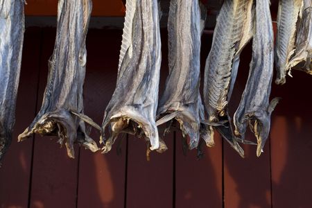 Fish hung to dry at a red boathouseの写真素材