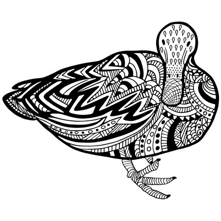 Duck hand drawn on white. Object isolated.のイラスト素材