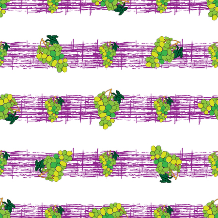 Seamless pattern with grapes on violet strips hand drawn background illustration.のイラスト素材