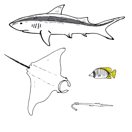 Grey reef shark, manta ray, threadfin butterflyfish and cornefish hand drawn. Coral reef fish. Background illustration.のイラスト素材