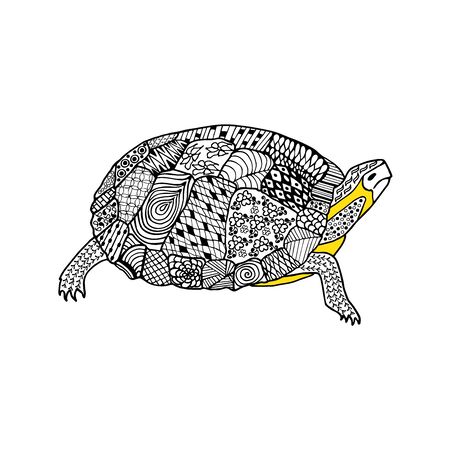 Turtle hand drawn doodle object isolated on white