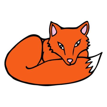 Hand drawn colorful fox. Cartoon color fox outline doodle style. Vector illustration isolated on white background. Decoration for greeting cards, posters, flyers, prints for clothes.のイラスト素材