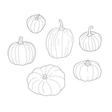 Pumpkin transparent set. Vector illustration isolated on white background. Healthy vegetarian food. Doodle style. Decoration for greeting cards, posters, patches, prints for clothes, emblems.のイラスト素材