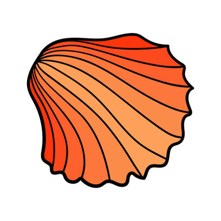 Hand-drawn scallop shell of engraved line. Design element for invitations, greeting cards, posters, banners, flyers and more. Vector colorful illustration isolated on white background.のイラスト素材