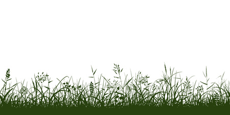 silhouettes of grass, spikes and herbs. Seamless border.の写真素材