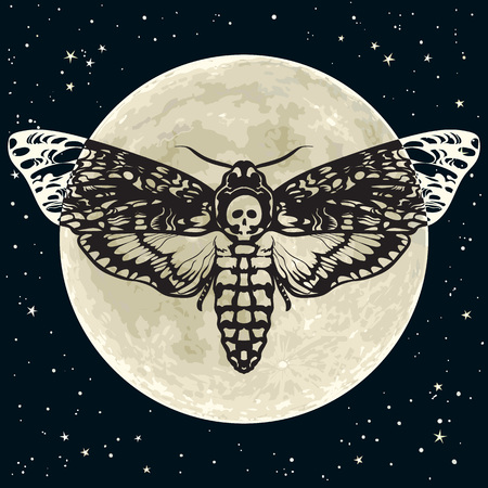 Death head hawkmoth on the full Moon and night sky background. Skull moth butterfly. Vectorのイラスト素材