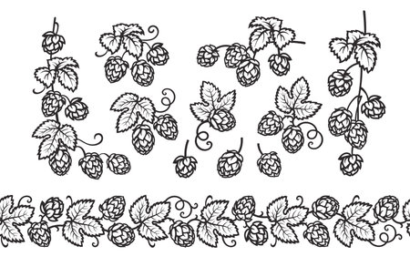 Hop branches with cones and leaves seamless border. Brewery, beer festival, bar, design elements in vintage engraving style. Hand drawn vector illustration isolated on white background.のイラスト素材