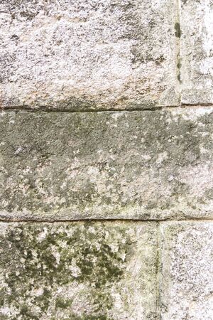 Texture of old concrete with green moss. Space for text. Vertical photoの写真素材