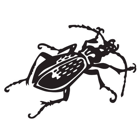 black beetle - vector illustrationのイラスト素材