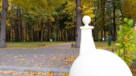 autumn alley in city park - Kharkiv / Ukraine 2019の写真素材