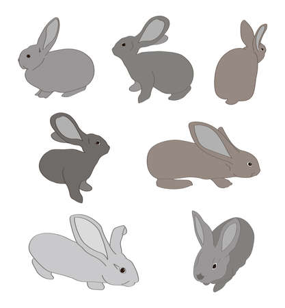gray rabbits - set of vector silhouettes of animalsのイラスト素材