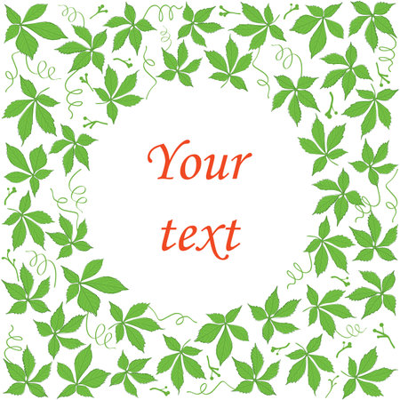 decorative vector background with leaves of Parthenocissus - green ivy around central frameのイラスト素材