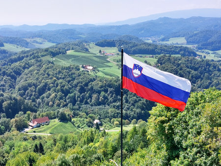 tall flag of Slovenia and green landscape. Hills and vineyardsの写真素材