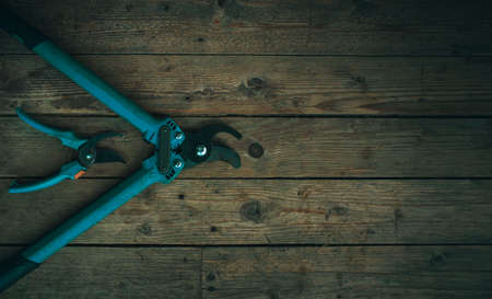 two blue garden shears lie on a wooden backgroundの写真素材