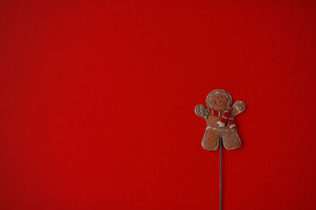gingerbread man lies on a red background top view