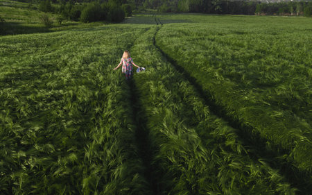girl runs in a blue dress in a green field of rye back viewの写真素材