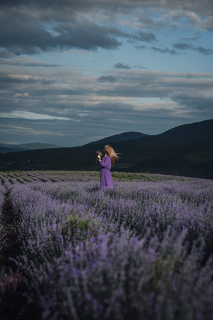 a blonde woman stands in a purple dress in the mountains on a lavender field in the rays of sunlightの写真素材