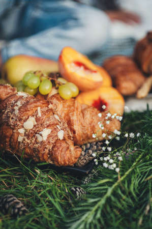 Summer picnic with croissants, peaches and grapes on coniferous branches and cones, close-up front viewの写真素材