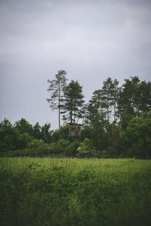 beautiful green Carpathian forests and green glade with a panoramic observation booth on a cloudy day, front view overall planの写真素材