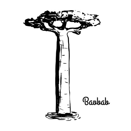 Vector sketch illustration. Black silhouette of Baobab isolated on white background. Tropical flora. Symbol of Madagascar.のイラスト素材