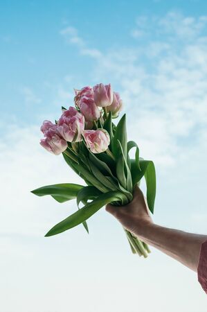 A vertical image of bouquet of pink tulip flowers in a hand against blue sky backgroundの写真素材