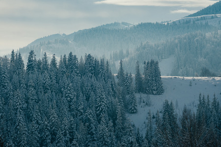 Breathtaking winter mountain landscape covered with snow, forests in the misty distant backdrop. Picturesque and peaceful wintry scene European resort location. Sunny day with cloudsの写真素材