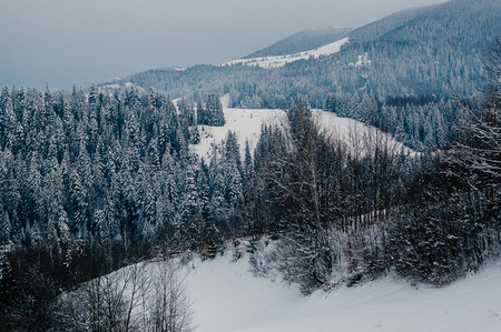 Breathtaking winter mountain landscape covered with snow, forests in the misty distant backdrop. Picturesque and peaceful wintry scene European resort location. Cloudy dayの写真素材