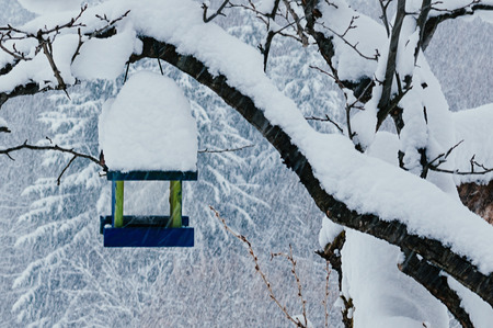 Snow-capped bird feeder on a tree. Beautiful winter rural landscape, village. Snowfall, snowflakes in motion. Forest in backdropの写真素材