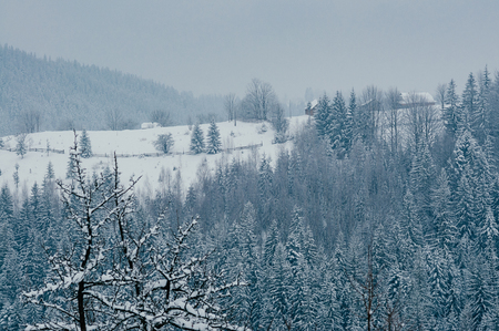 Breathtaking winter mountain landscape with wooden houses covered with snow, forests in the misty distant backdrop. Picturesque and peaceful wintry scene European resort location. Cloudy dayの写真素材