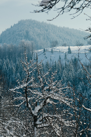 Winter countryside mountain landscape with snow, forests in the misty distant backdrop. Picturesque and peaceful wintry scene European resort location. Vertical imageの写真素材