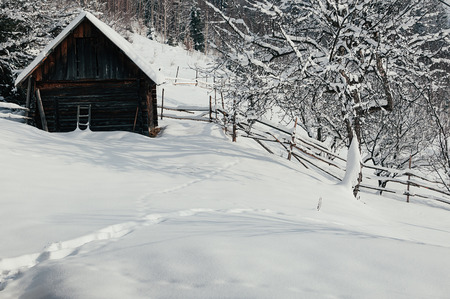 Winter countryside mountain landscape with wooden store house covered with snow, forest in the backdrop. Picturesque and peaceful wintry scene European resort locationの写真素材