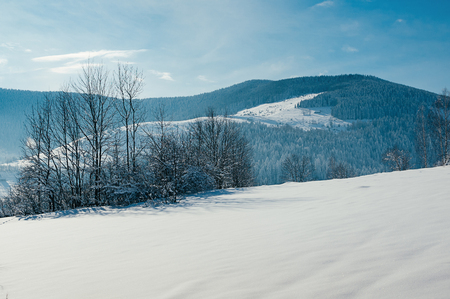 Breathtaking winter mountain landscape with snow field, forests in the distant backdrop. Picturesque and peaceful wintry scene European resort location. Sunny dayの写真素材