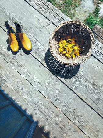 Yellow fresh dandelion flower heads in wicker bowl, rubber gardening ankle boots on wooden veranda background. Still life in rustic style. Daylight, hard shadows. Countryside lifestyle conceptの写真素材
