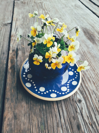 Yellow pansy flowers in blue ceramic cup on saucer, on wooden veranda background. Still life in rustic style. Close up view. Summer or spring in garden, countryside lifestyle concept. Copy spaceの写真素材