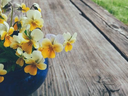 Yellow kiss-me-quick flowers in blue ceramic cup, on wooden veranda background. Still life in rustic style. Close up view. Summer or spring in garden, countryside lifestyle concept. Copy spaceの写真素材