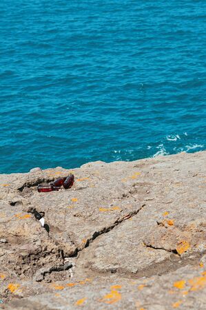 Empty beer bottles left after party on the rocky beach, blue sea background. Social issue of human lack of responsibility. Ecosystem, environment pollution global problem. Marine life cleanupの写真素材