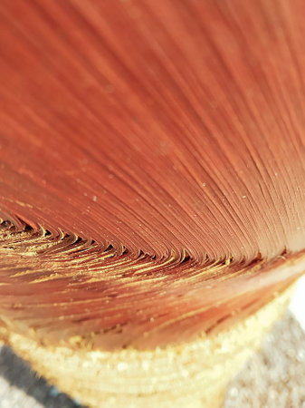 Abstract background of close-up of palm tree bark on a sunny day. selective focusの写真素材