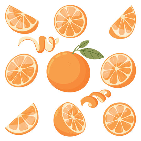 Oranges vector set. Various hand drawn oranges in simple flat style.のイラスト素材