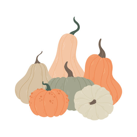 Hand drawn pumpkin. Autumn harvest decorative gourdsのイラスト素材