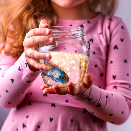 Baby girl in pink dress holding a aquarium with blue fish. The concept of care for Pets. Gift. Selective focusの写真素材
