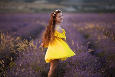 in a purple lavender field a little girl in a yellow dressの写真素材