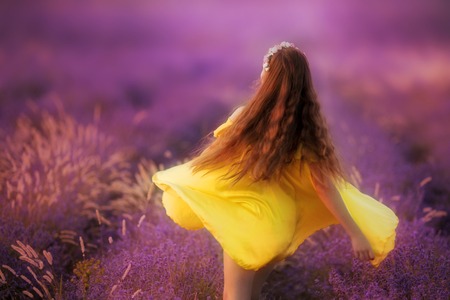 in a purple lavender field a little girl in a yellow dressの写真素材