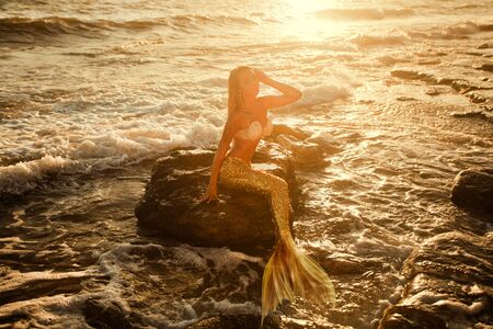 beautiful mermaid with golden tail sits on the seashoreの写真素材