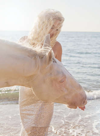 pretty young lady riding a horse on the beach in early morningの写真素材