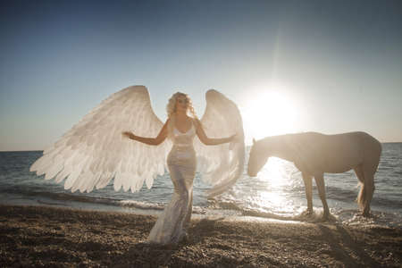 pretty young lady riding a horse on the beach in early morningの写真素材