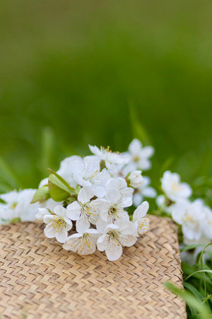 cherry blossom in a basket on green grass background, shallow dof