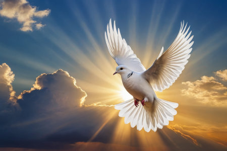 white dove flying on sky in beautiful sunset light for freedom concept. sunsetの素材