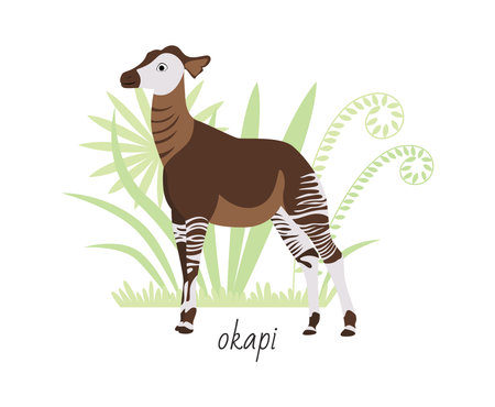 Animal okapi isolated on white background. Tropical plants. Vector flat illustrationのイラスト素材