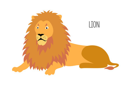 Lion is a wild cat. Title. Vector flat illustration of animal isolated on white background.のイラスト素材