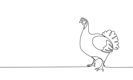 Banner continuous line turkey. Poultry. Linear minimal style. Vector outline illustration, line artのイラスト素材